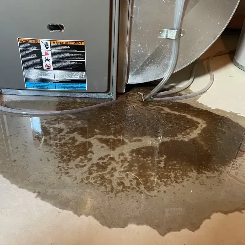 Appliance Leak Cleanup in Cherry Hill, VA